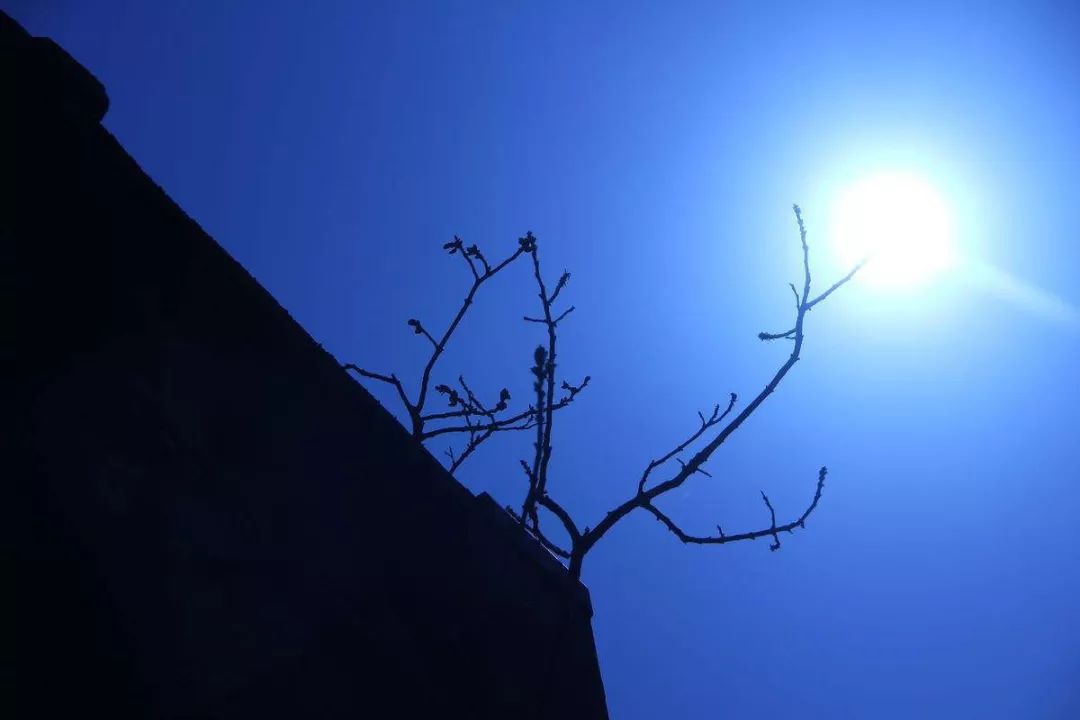 未雨绸缪补屋顶