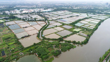 湛江市有多少人口_广东这4个城市要发达了 将成为国家枢纽中心,可惜没有东莞