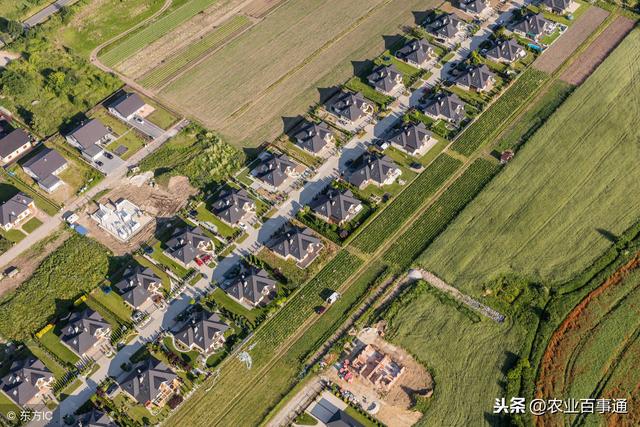 宅基地户主和人口情况_农村宅基地和建房申请