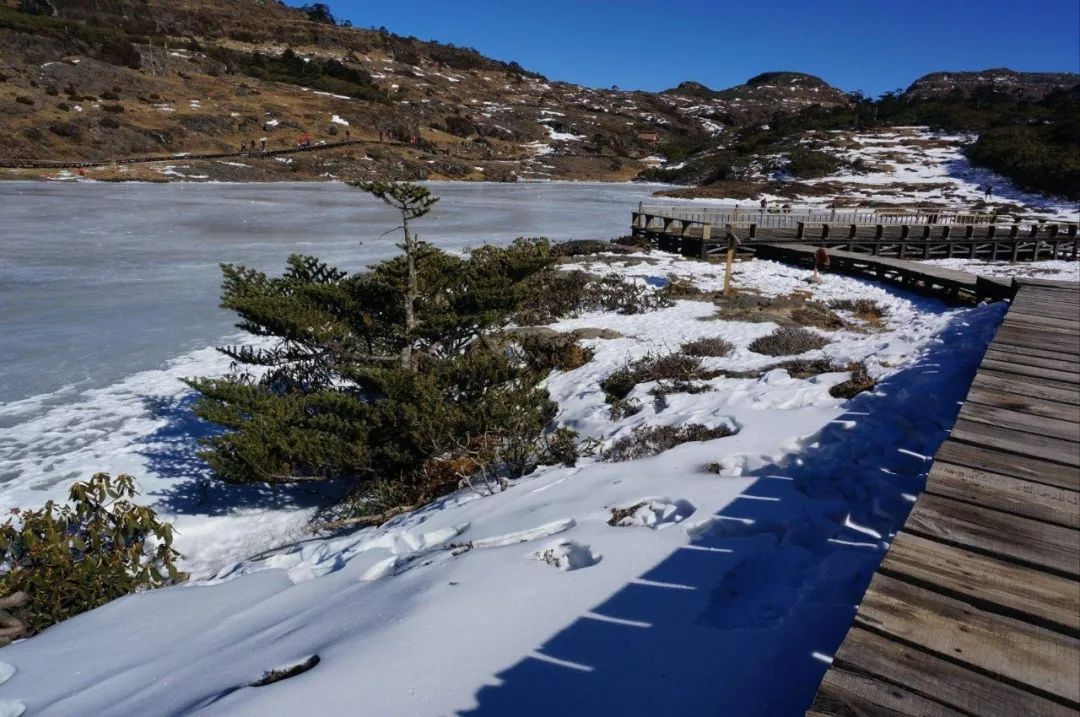 【60周年区庆热抢】昆明轿子雪山三日游!仅需￥799!广西人独立成团!