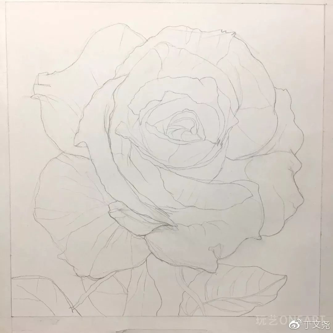 素描教程 | 丁老师教你画玫瑰_花瓣