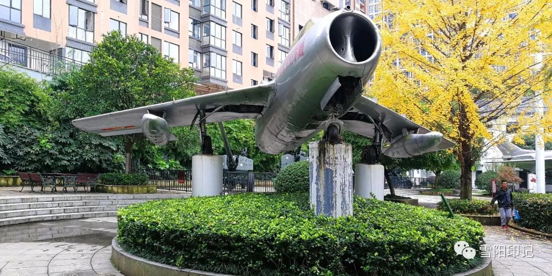 流芳公园 | 扩园建馆深秋景 精魂永存流芳园_株洲