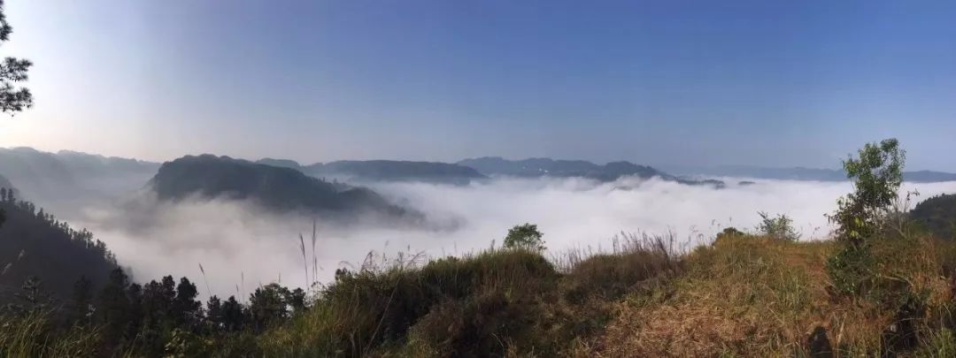 雾雾雾今天威远惊现大雾多个高速路口关闭