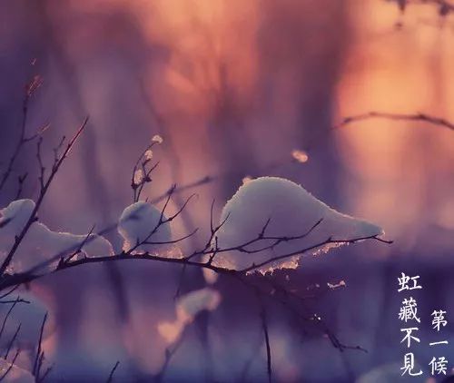 小雪时节：中医专家教你如何进行“冬藏”养生