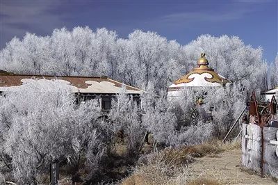 【视界】2018年,一场雪,才知阿拉善大漠雪景有多美!