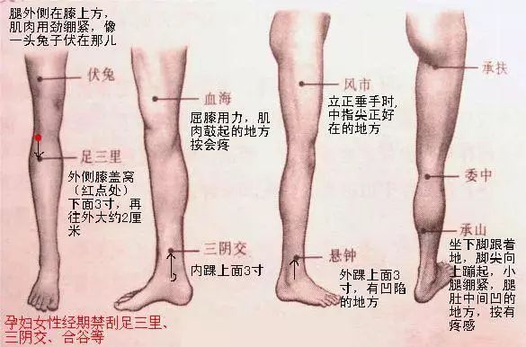 重复做3次,直至感觉腿部发热为止,然后五指张开,双手在大腿根部腹沟