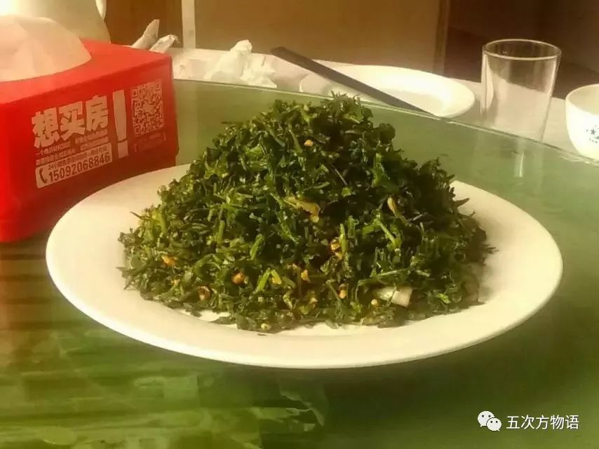 山菜 青岛人最喜欢的野菜 山菜 到底是什么 达达兔游戏网