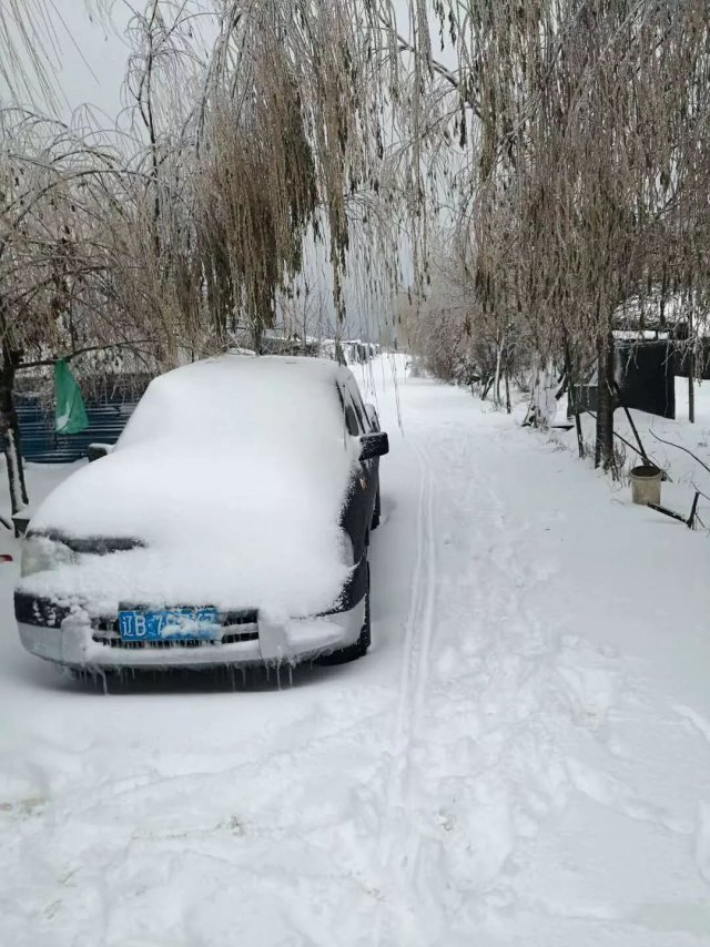 大连下雪了,还是大雪!