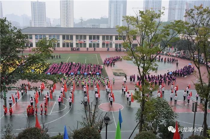 奔跑吧童年记兴龙湖小学第五届体育文化节