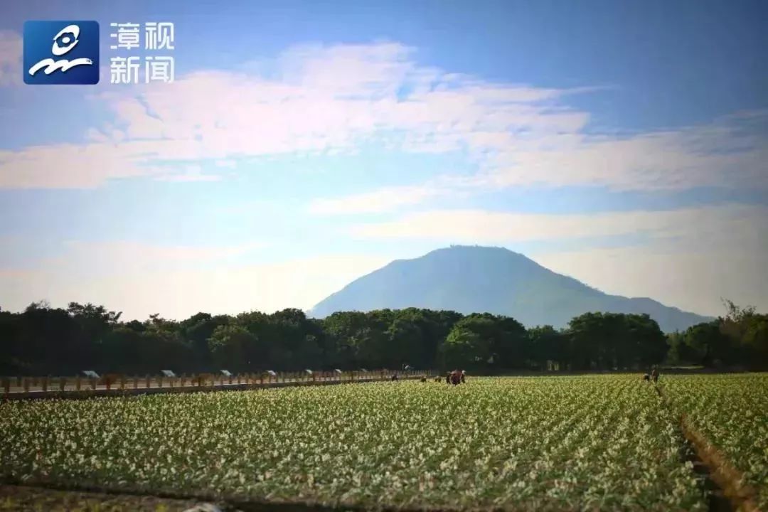 漳州 人口_漳州火山岛(3)