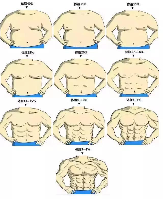 一般情况下男性体脂在15%以下腹肌才能显现,下面是男性体脂率和体型