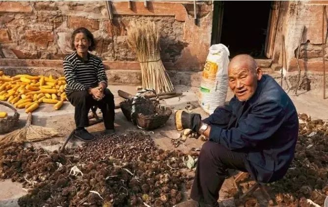 调查:中国农民幸福吗?
