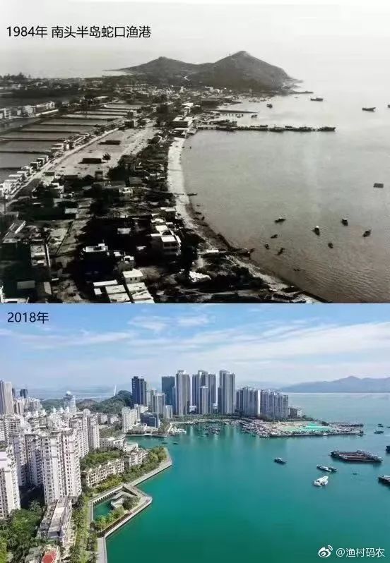 深圳1984-2018年对比珍贵照片曝光!柔软了岁月