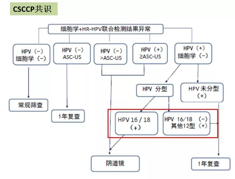 宫颈癌筛查hpv检测的2大误区