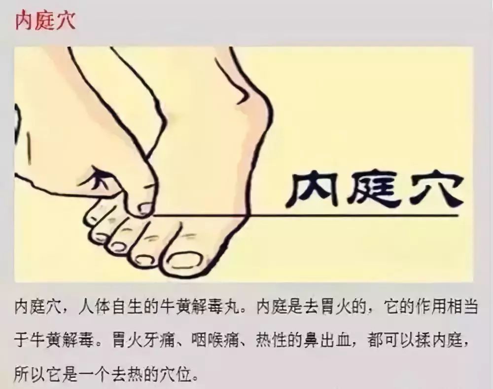 成语什么鸣舌_成语故事简笔画(3)