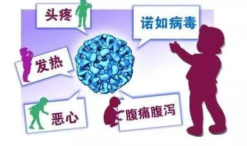 诺如病毒感染进入高发期，了解、预防与应对