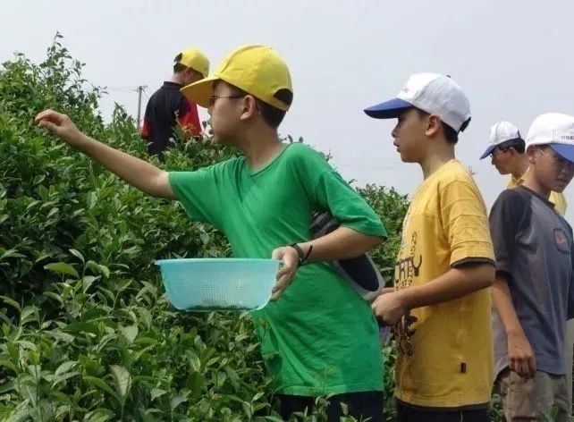 喜讯南京浦口行知基地荣获教育部全国中小学生研学实践教育营地