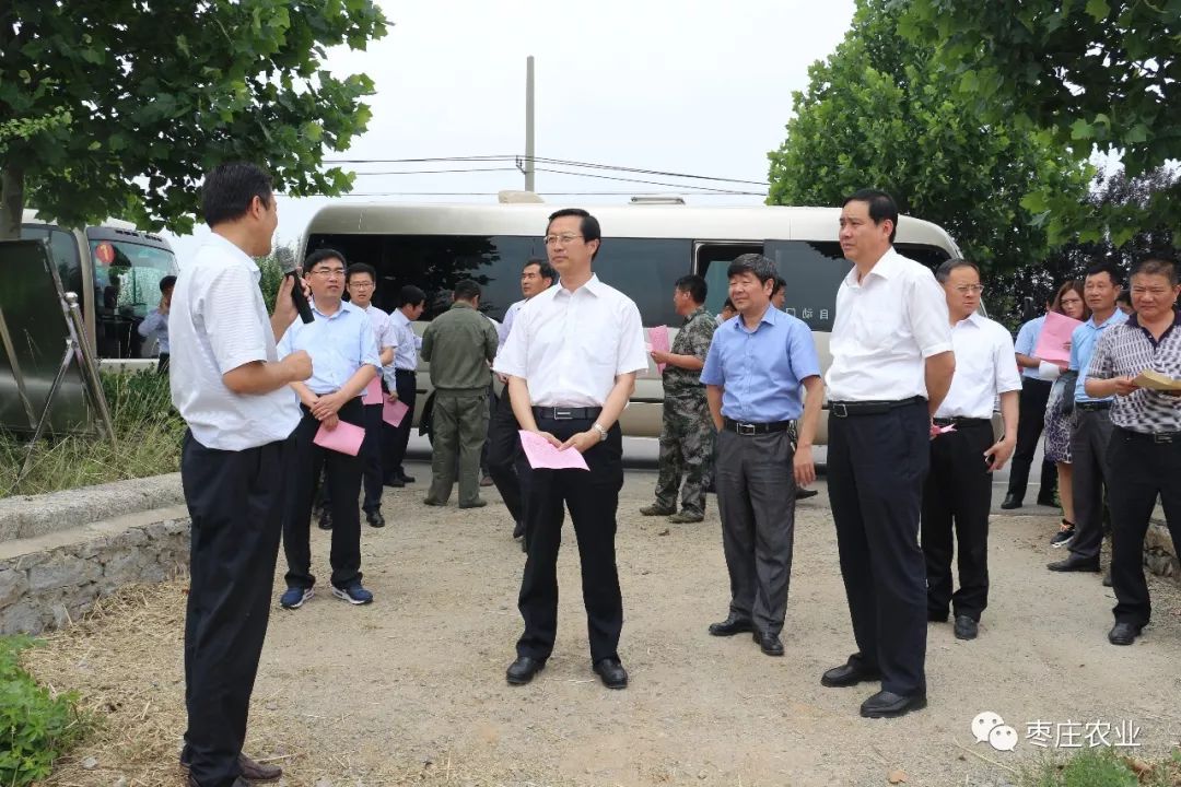 市人大副主任刘志才视察三夏生产和秸秆禁烧综合利用工作市政府副市长