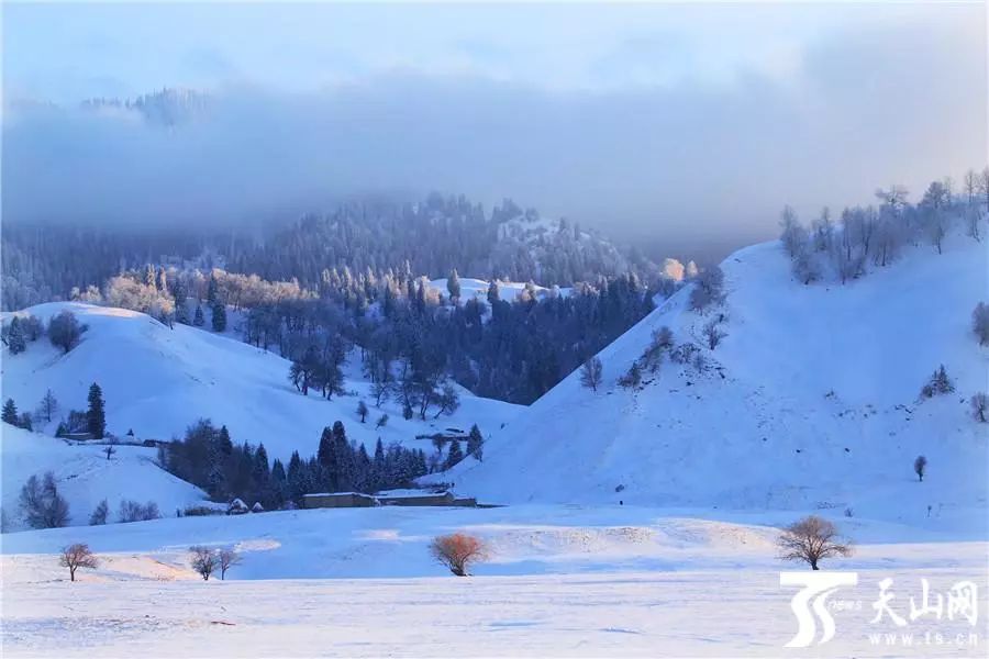 从古城到雪山，探索四季之美，四季之美，古城与雪山的自然画卷探索