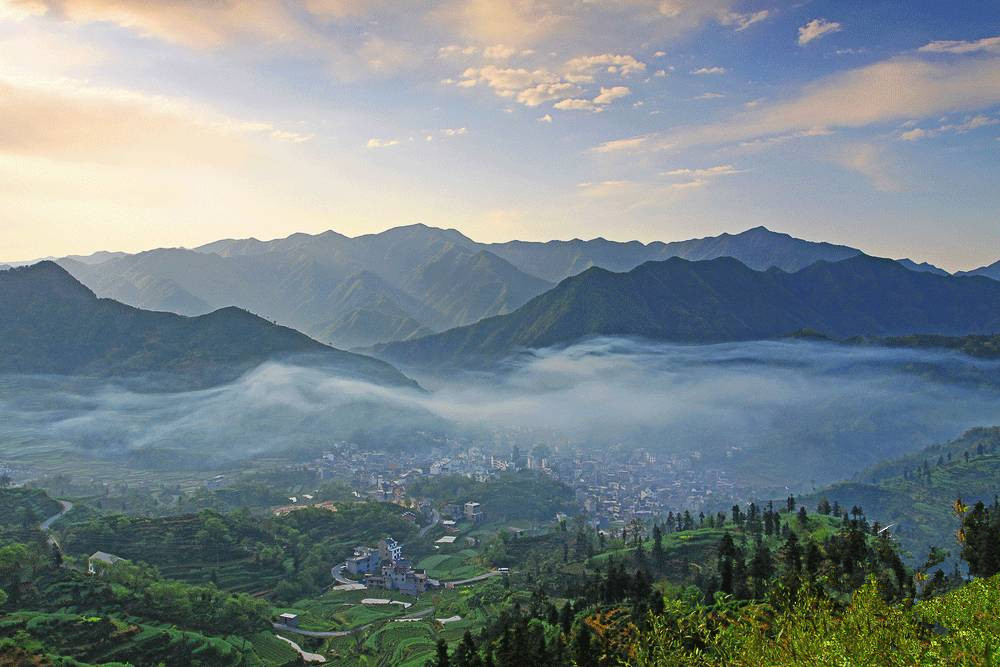 长陔岭山芋干,软糯香甜的徽州家乡味