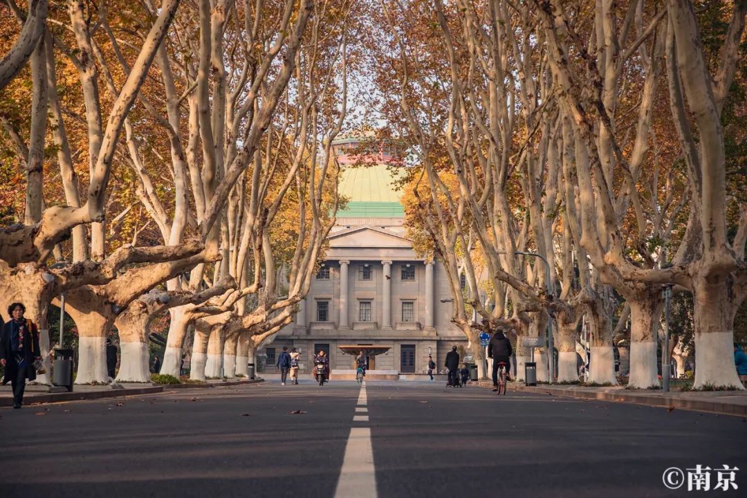 沿着这条梧桐大道走向那池清水,一层秋意,东南大学的深秋最能让人感受