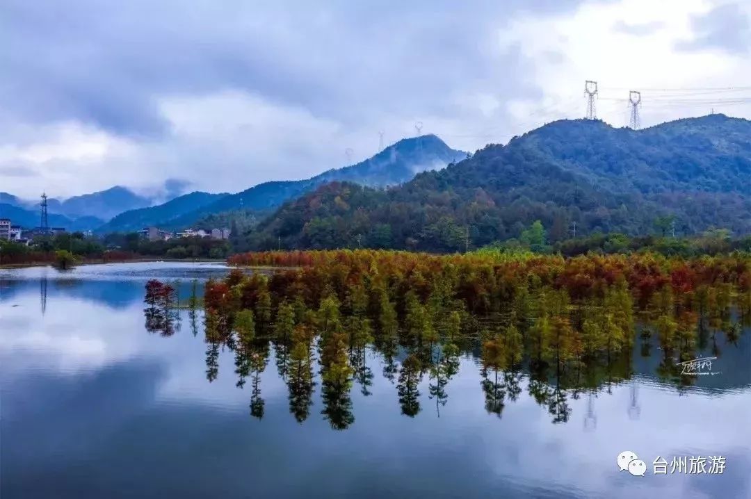 顾翔 地址:台州市温岭太湖水库 仙居  板桥 一汪湖水,一片红杉,天清云