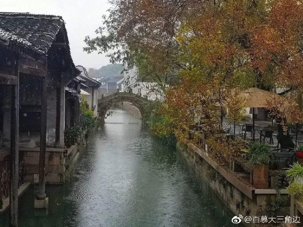 淋过秋雨,江南才算入了秋.秋雨中的江南,一下子就变成了石墨色.