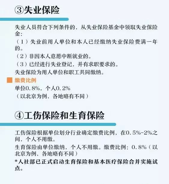 个体工商户纳入gdp吗_深圳的GDP会统计到广东省里吗 可能很多人都想错了