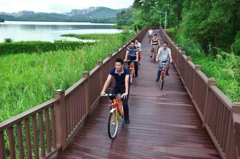 淘金山绿道建设效果图-樟树布登山道 串联周边景区社区 人车分流更