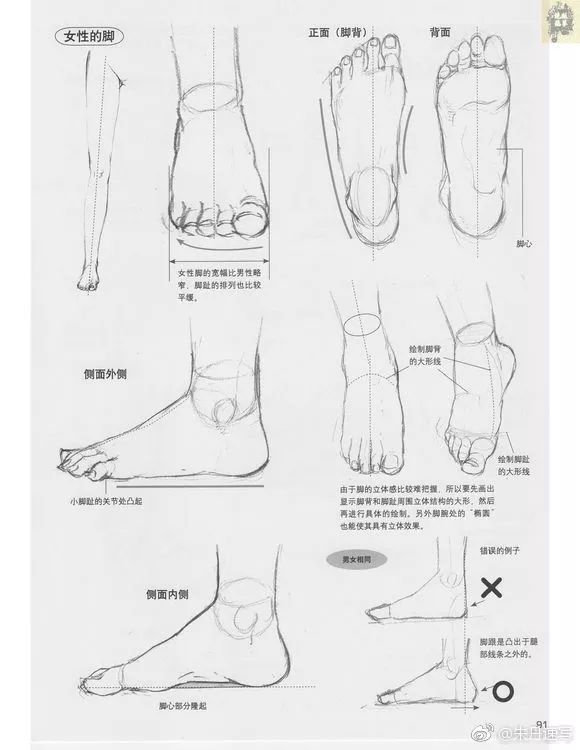 人物素材 | 超赞的腿部足部教学资料