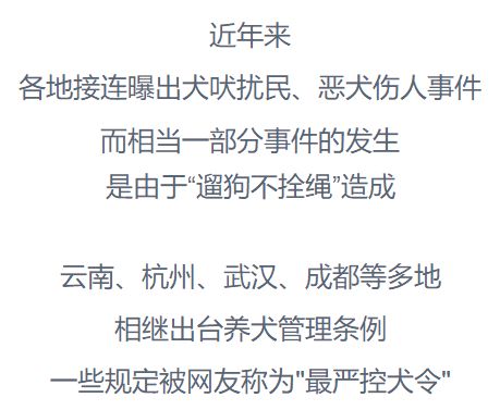 "恶性事件频发多因遛狗不拴绳"上海青浦遛狗纠纷致死