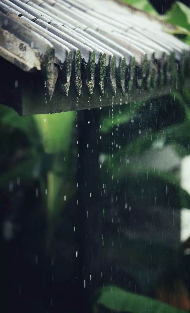 九首写雨的诗词,美到让人心碎_潇潇秋雨