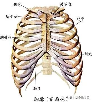 膝关节上下楼痛走路痛久站痛掐按这个穴位立即祛痛