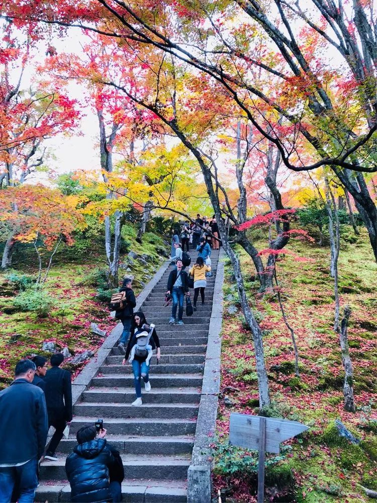 人文园冶大学堂红叶季612018日本园林景观高级研学营圆满落幕