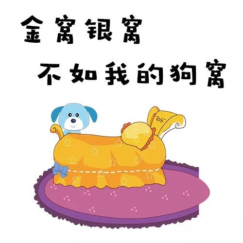 9,如果明天放假,你会?