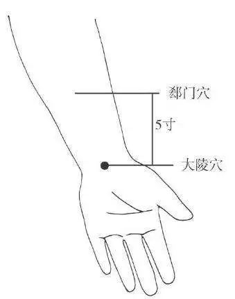 郄门穴 位于腕横纹上5寸,掌长肌腱与桡侧腕屈肌腱之间,大致相当于腕