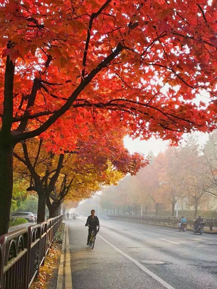 天气 本周唱"晴天,观赏秋景正当时_下沙