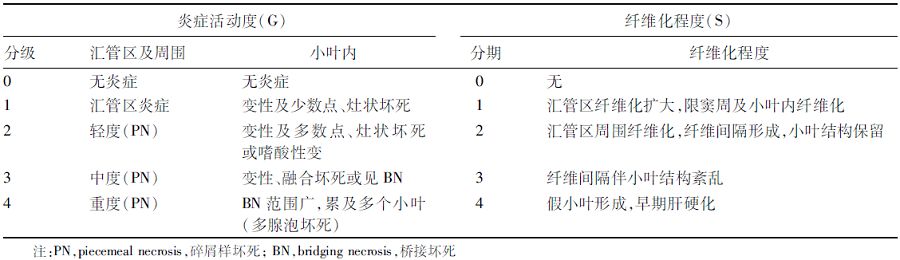 炎症性肝损伤的病理学鉴别诊断