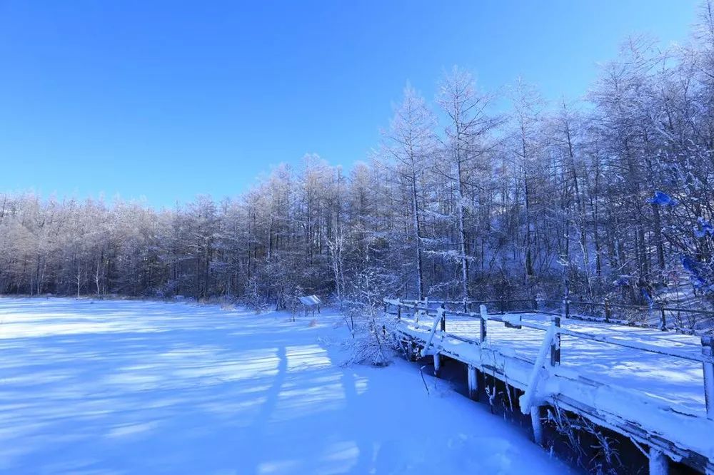 一趟驶向雪国的列车,浓缩整个梦幻的冬天!_阿尔山