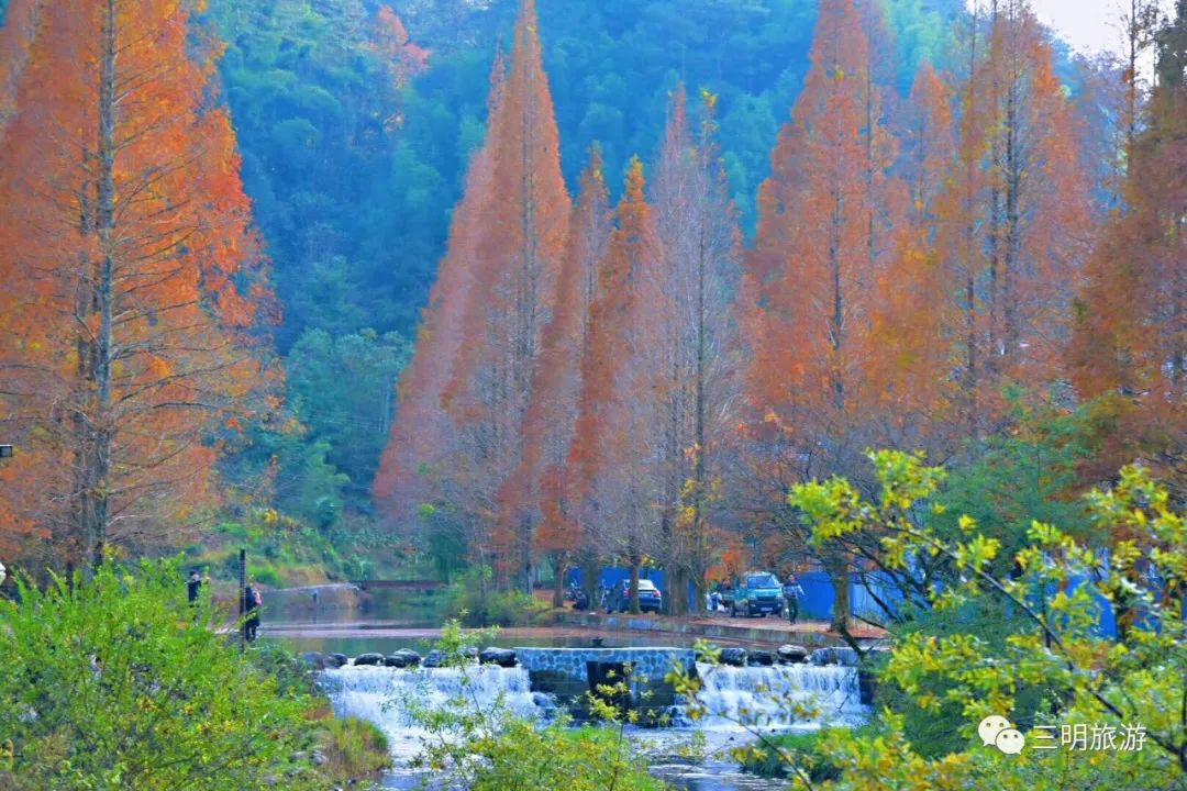 让人惊叹 这一场初冬的邀约 龙栖山国家级自然保护区位于将乐县的南部