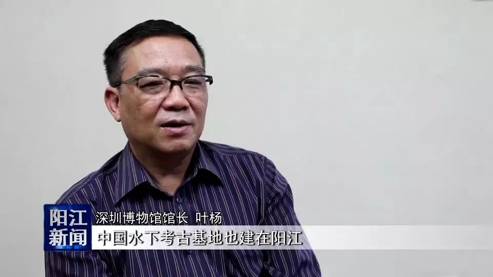 深圳博物馆馆长叶杨