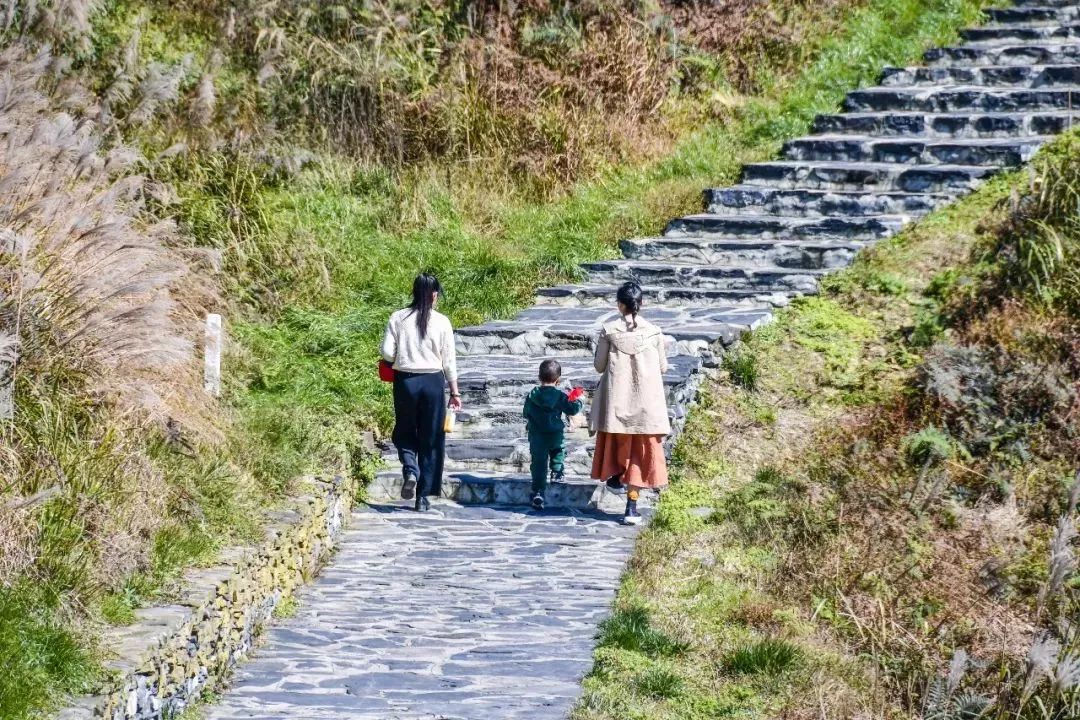 洪关太阳坪▕ 行在路上,便是风景