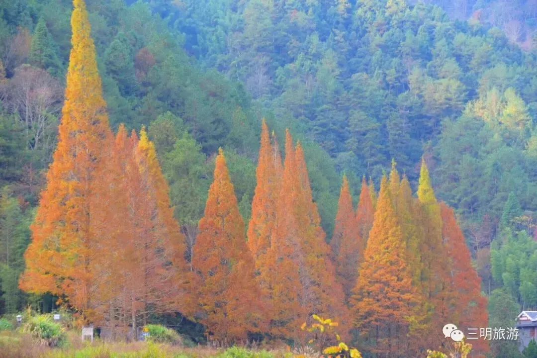 让人惊叹 这一场初冬的邀约 龙栖山国家级自然保护区位于将乐县的南部