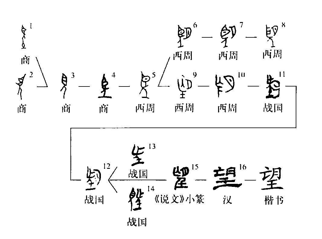 甲骨文"望"字有二种形体,一种形体像人举目之形,一种形体像人站在