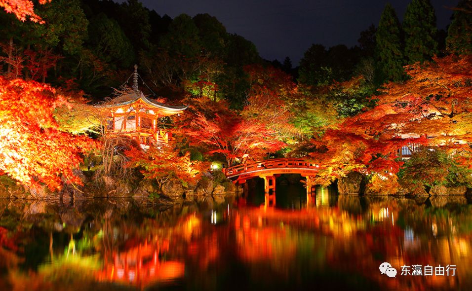 约吗 京都红叶正绚烂 这些景点别错过 清水寺