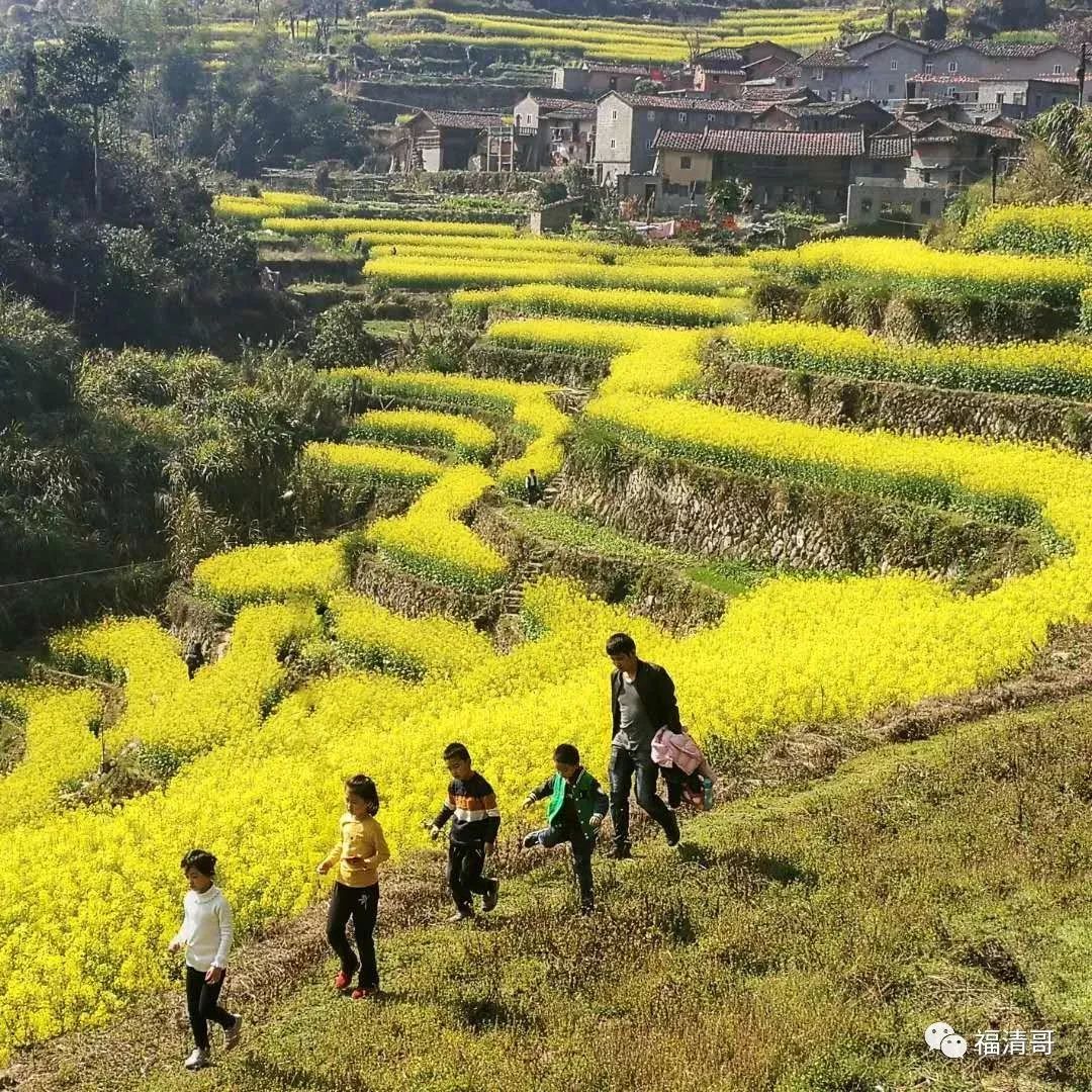 美丽乡村人口补贴_美丽乡村图片