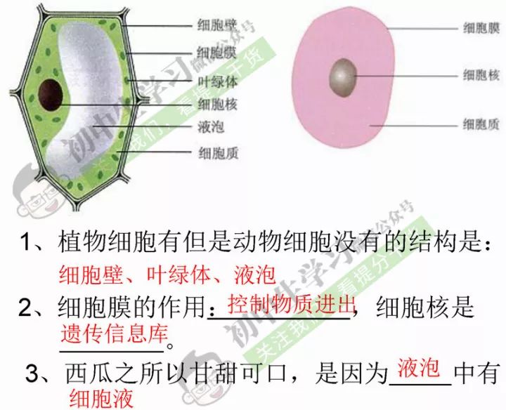 生物老师精心整理初中生物必考课本识图题汇总对考试太有用