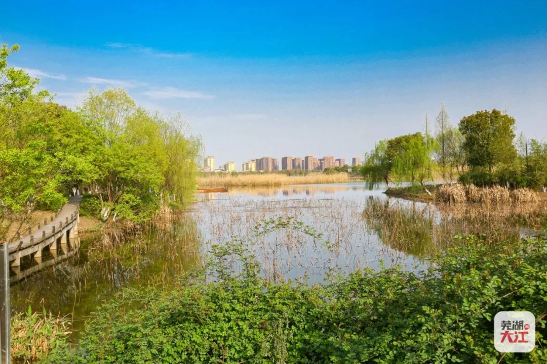 芜湖市市域为全部规划范围 规划总目标 对芜湖市湿地资源进行区划布局