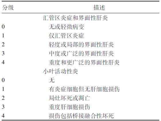 慢性肝炎病理学分级分期评分系统比较_肝纤维化