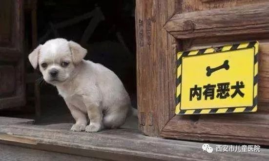 人对人口水传染狂犬病_得了狂犬病的人图片(2)